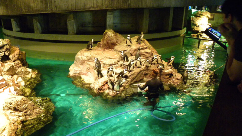 new-england-aquarium-boston-waterboat-marina